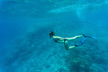 Free woman diver gliding snorkeling underwater over vivid coral reef in a tropical sea