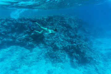 Fototapeta na wymiar Young woman diving on a breath hold and fining over coral reef in blue transparent sea