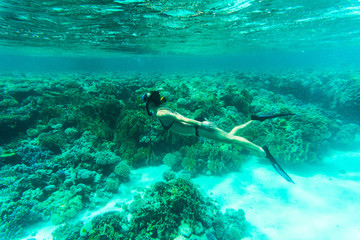 Naklejka na ściany i meble Beautiful Woman snorkeler explores coral reef in sea water