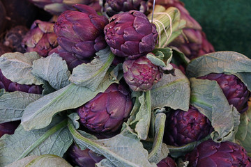 Purple fresh globe artichokes on market display