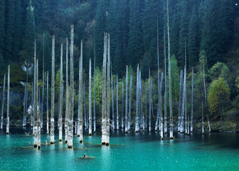 Fototapeta na wymiar Kaindy Lake with birches in Tien Shan mountain, Akmaty, Kazakhstan.
