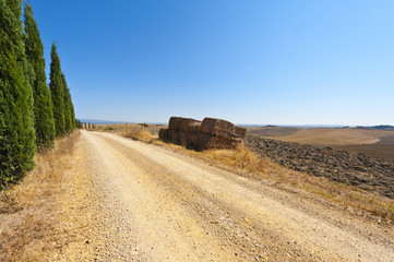Tuscany landscape after harvest