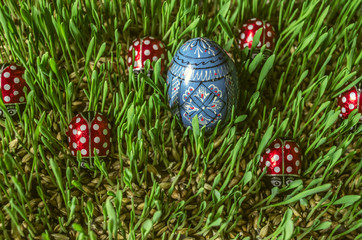 Painted wooden blue egg with chocolate ladybirds on sprouted barley