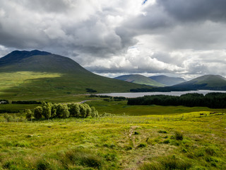 Fototapeta premium OLYMPUS DIGITAL CAMERA