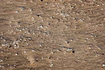 rocky beach with sand and pebbles