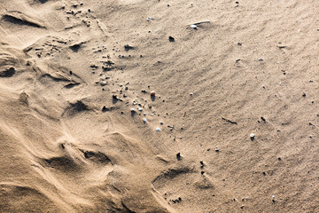 Fototapeta na wymiar rocky beach with sand and pebbles