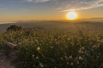 Obraz premium Sunset in Alcocebre (Castellon, Spain).