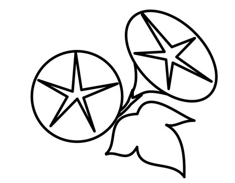 朝顔 モノクロ Stock イラスト Adobe Stock