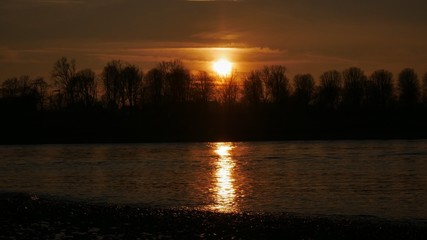 Rhein