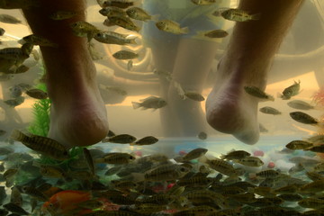 FISH PEDICURE