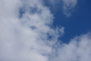 青空と雲「空想・雲のモンスター（メスのライオンや犬などの動物のイメージ）