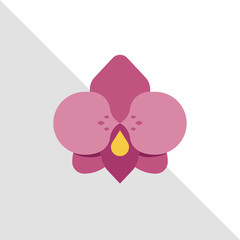 Pink flat flower with geometry modern fashion background, bright colours, beautiful orchid, beauty banner template, wax club icon, natural symbol, eco organic cosmetic, bio ecology image.