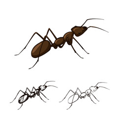 illustration set of ants on a white background