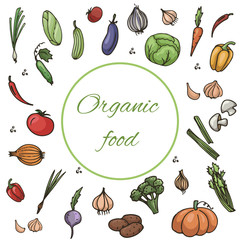 vector illustration set of vegetables isolated on white background