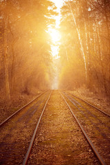 Fototapeta na wymiar Tram rails in the autumn forest, vintage hipster background. Travel, freedom and hope concept.