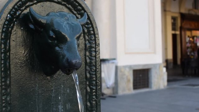 Typical Turin Fountain Toret
