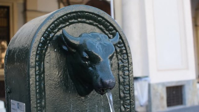 Typical Turin Fountain Toret