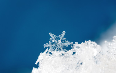 natural snowflakes on snow