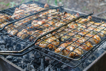 Grilled beef shish kebab