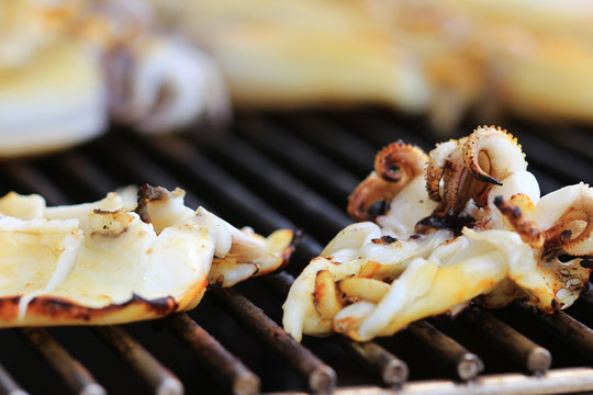Grilled Squid Cooked on BBQ Stove