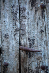 Rusty nail on wood panel