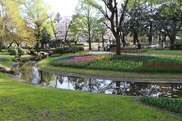 公園の川