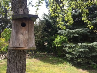 Vogelhaus, Vogelhäuschen, am Baum im Garten