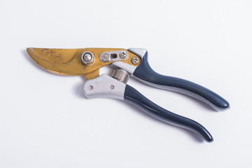 Old garden shears for pruning on white