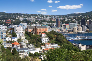Aerial view of Wellington, New Zealand © NMint