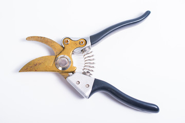 Old garden shears for pruning on white
