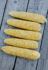 Freshly picked bicolor sweet corn on a wooden background.