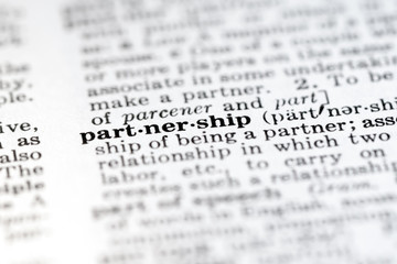 Definition of word partnership in dictionary