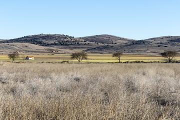 Campos y montes de la Reserva Natural de Gallocanta