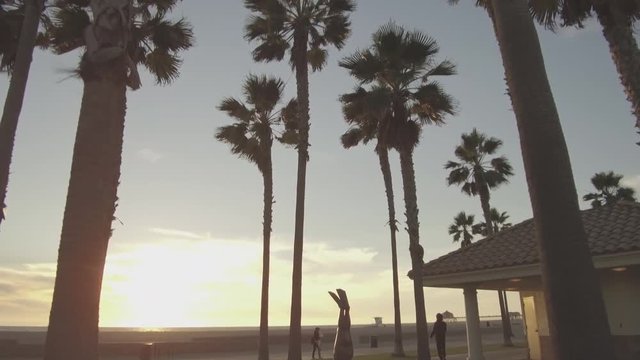 Panning Down From Palm Trees In Huntington Beach, California