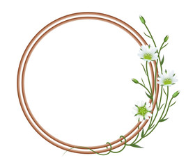 Реалистичные цветы полевой ясколки, круглая рамка из лозы.