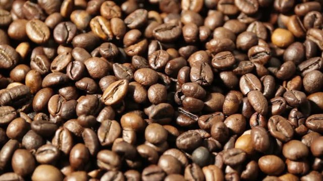 Coffee Beans on Rotation Plate
