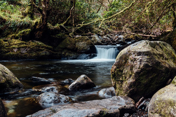 Ein Wasserfall im Wald