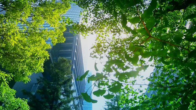 新緑　青空の　東京丸の内オフィス街を歩く　4月　逆光　ジンバル移動撮影