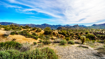 Fototapeta na wymiar Beautiful desert scenery of Lake Bartlett area in Tonto National Forest in the Arizona desert in the United States.