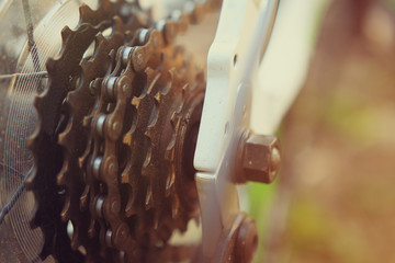 The gears of asterisks of a bicycle close-up on a background of a green forest.