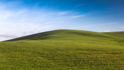 Fototapeta na wymiar Morning green field on a Tuscan hill under a blue sky with clouds