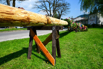Maibaum in Arbeit