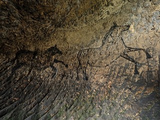 Black carbon horses on sandstone wall. Paint of hunting,  prehistoric picture