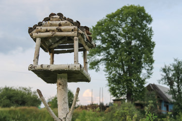 Wooden birdhouse in Carpathians, Ukraine