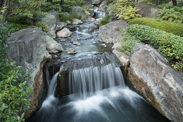 Japan garden at asakusa temple Tokyo , Japan
