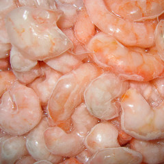 frozen shrimps