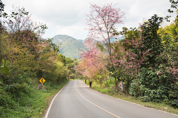 Obraz premium asphalt road to chiangmai thailand