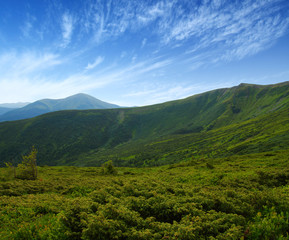 Naklejka premium Mountain landscape in summer