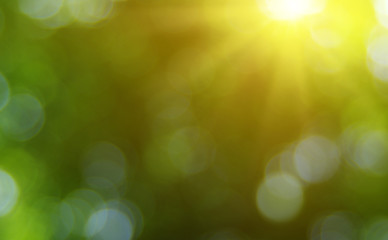 Green blurred background