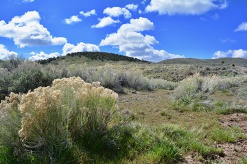 Utah High Desert Countryside